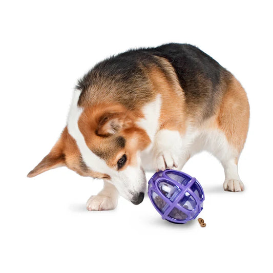 Interactive toy