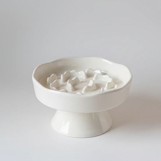 Ceramic Elevated Slow Feeder Bowl